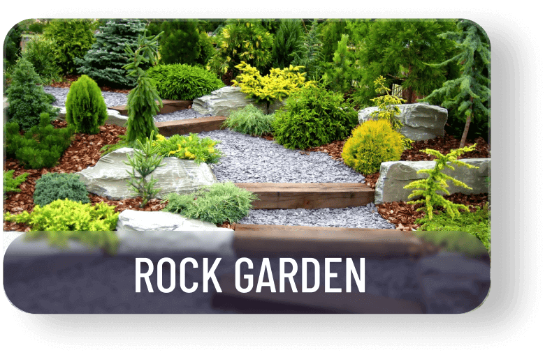 Rock Garden